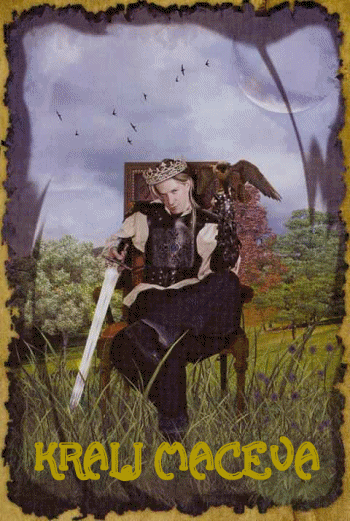 Mystic Dreamer Tarot: KRALJ MAČEVA