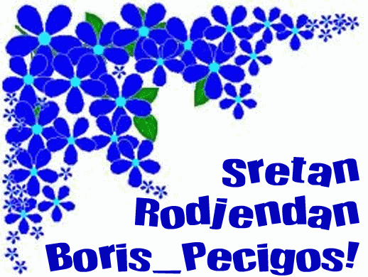Danas ima rođendan Boris_Pecigos....