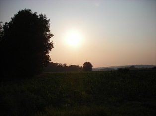 Arboretum - PRED VEČER