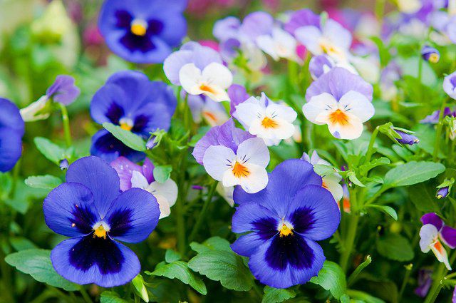 DOBRO JUTRO, LJUBAVI MOJA....