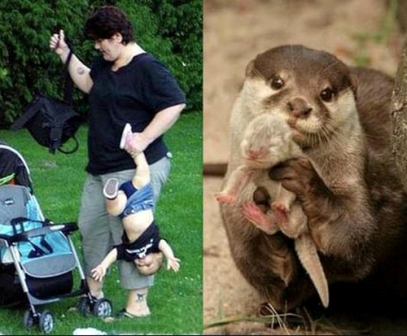 Neke životinje su ponekad bolji roditelji od ljudi!!