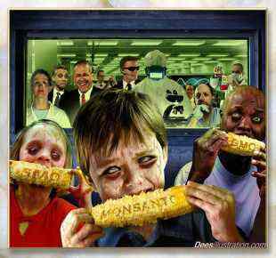 NAJNOVIJA ISTRAŽIVANJA: Krajnji rezultat genetski modificirane hrane je smrt