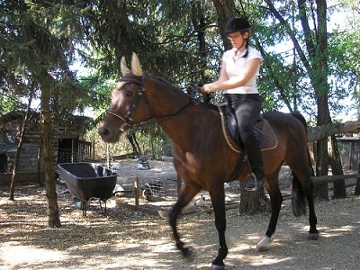 COUNTRY LIFE: NA RANČU 0'KUJE