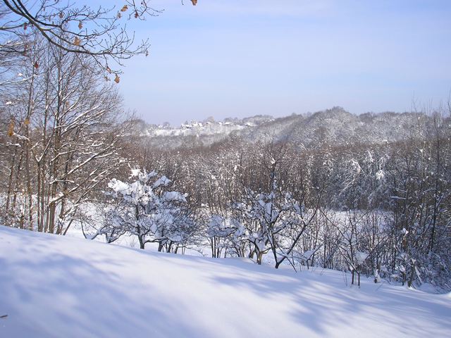 Povratak u pedesete -BEZ STRUJE