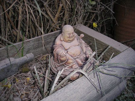 Buddha vrtni
