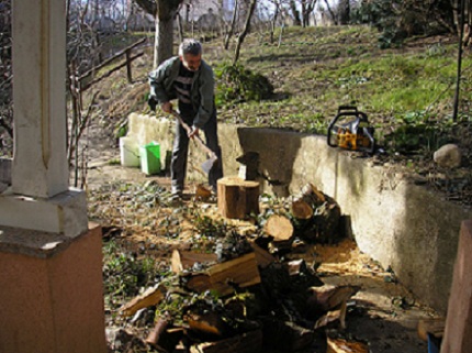 DAN ŽENA NA KOZJAČI