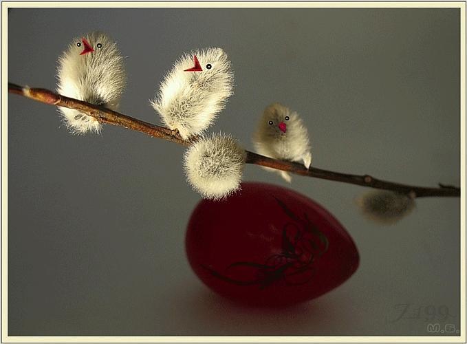 ....svašta je meni Uskrs poželio...