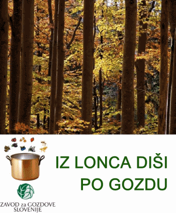 Gozdarska kuharska knjiga