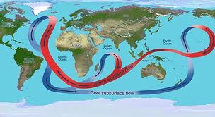 Double gyre velocity field