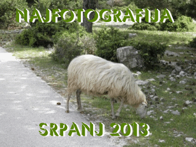 Naj-fotografija mjeseca srpnja 2013...