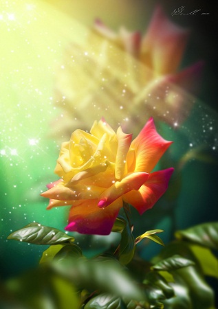 PORUKA ZA 30. SRPNJA - Gledat ćeš očima koje stvarno vide