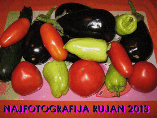 Najfotografija u rujnu 2013.g.