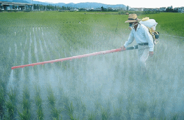Pesticidi loše utječu na zdravlje djece