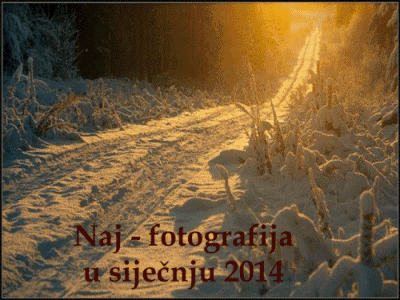 Naj - fotografija u siječnju 2014.g.