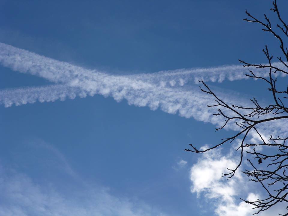 Chemtrailsi, sintetička biologija,nanotehnologija....