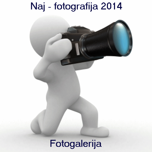 Fotogalerija: Naj-fotografija u 2014 g...