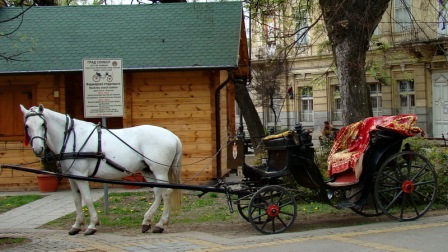 TITO I MIGRACIJE STANOVNIŠTVA