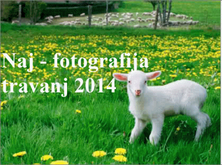 Naj - fotografija u travnju 2014