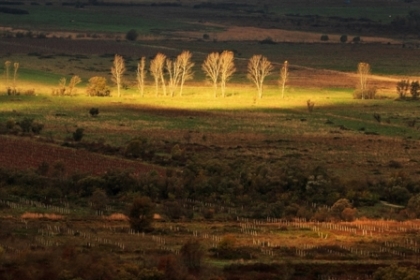 Fotografije by Igor Brautović