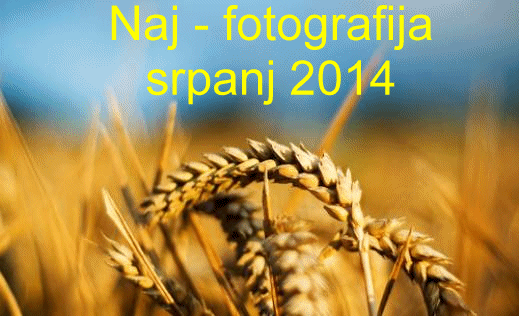 Naj - fotografija u srpnju 2014.g.