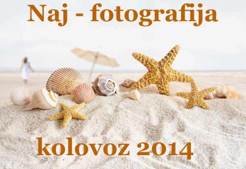 Naj - fotografija u kolovozu 2014.g.