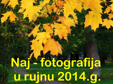 Naj - fotografija u rujnu 2014.g.