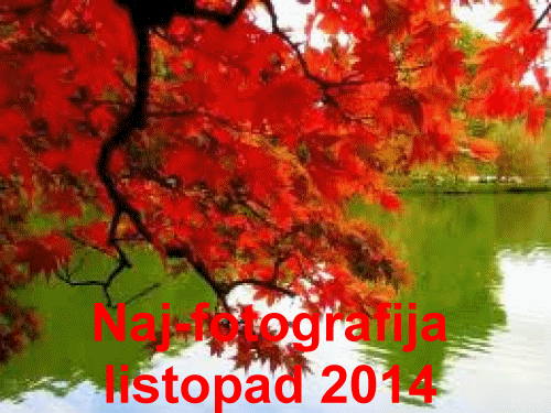 Naj - fotografija u listopadu 2014.g.