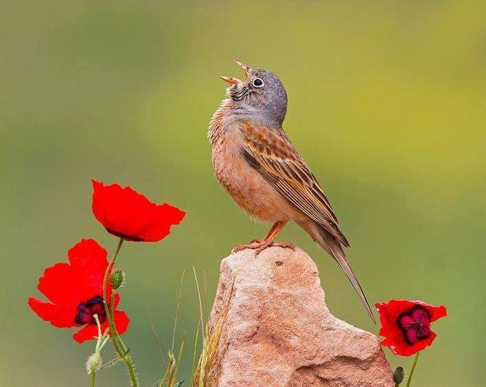 PORUKA ZA 22. KOLOVOZA - Sve male stvari u životu imaju novo i dublje značenje