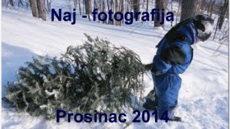  Naj - fotografija u prosincu 2014.g.