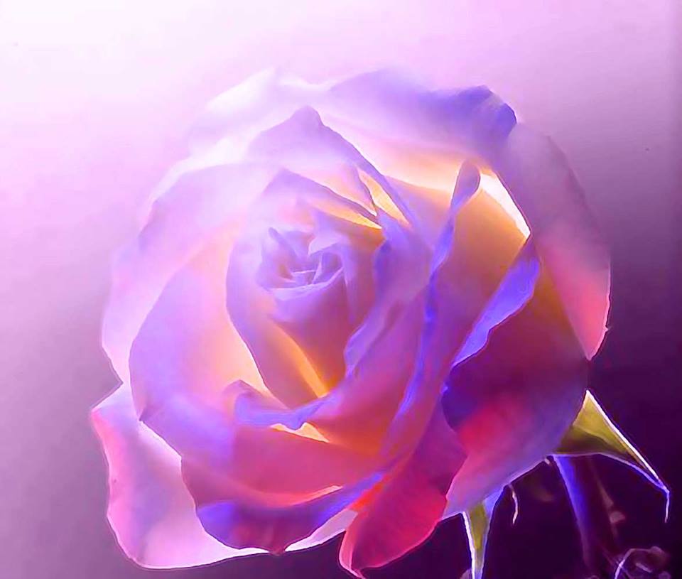 PORUKA ZA 11. SRPNJA - Očekuješ li sve najbolje?