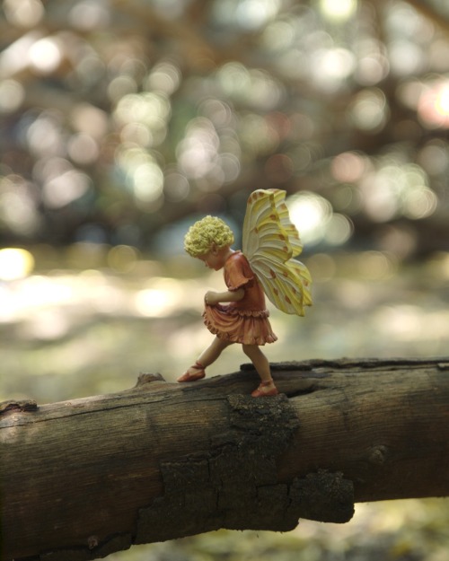 PORUKA ZA 06. SRPNJA - Jesi li spreman iskoračiti