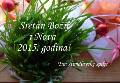SRETNE BLAGDANE I USPJEŠNU NOVU 2015.!