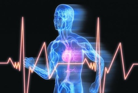 PET SIGNALA DA ĆETE DOBITI INFARKT ZA MESEC DANA:  Evo kako da sprečite srčani udar!
