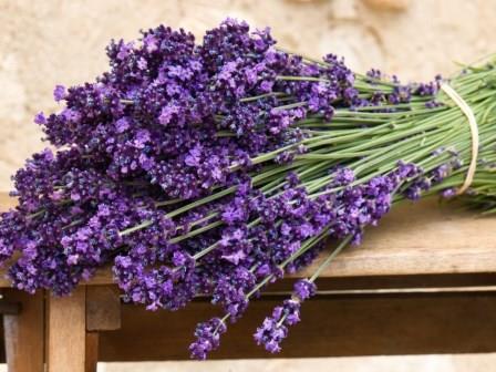 LAVANDA U KUĆNOM WELLNESSU