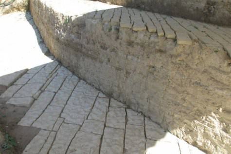 Ptica u gnijezdu na piramidi Sunca.