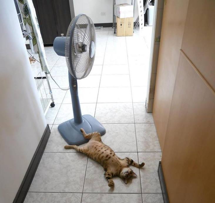 Puhni vjetre sa Dinare..