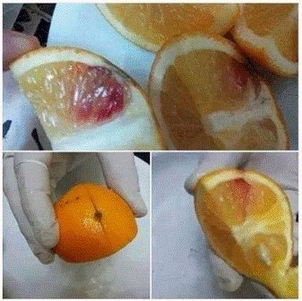 Zaražene naranče