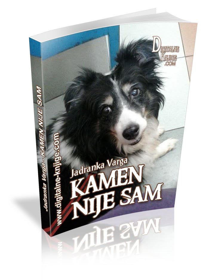 KAMEN NIJE SAM