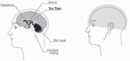 4. TAN TIJEN