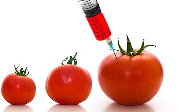 IZBJEGNITE I SPASITE SE NA VRIJEME: Evo kako da na polici prodavnice prepoznate GMO hranu!