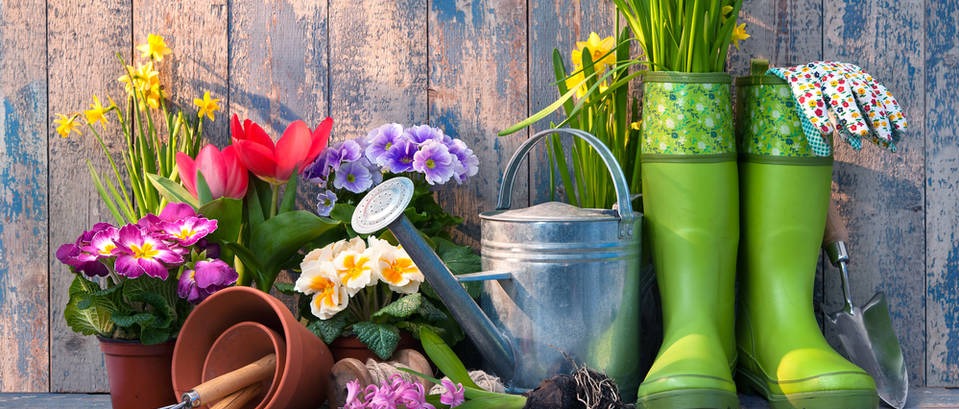 5 razloga zašto je vrtlarenje dobro za vaše zdravlje