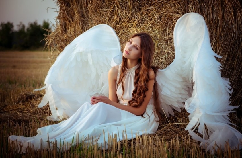 Razgovor anđela i Boga: Uputstvo za život čiste savesti    i mirne duše!