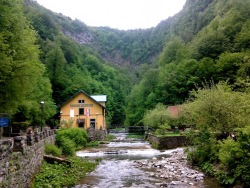 NE BUDI VEZAN ZA BEZNAČAJNE STVARI