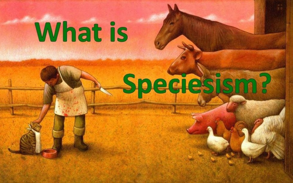Što je specizam?