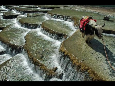 Tibet