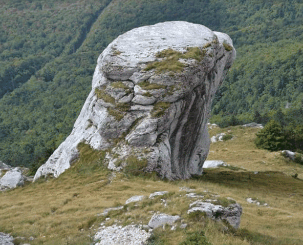 Lička Kapa ili...kamena ptica.