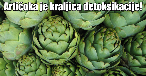 Artičoka