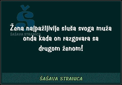 Šašava stranica