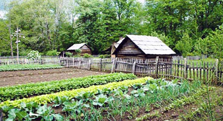 ZABRANA PROIZVODNJE HRANE