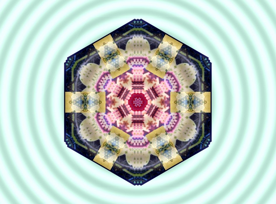 MANDALA